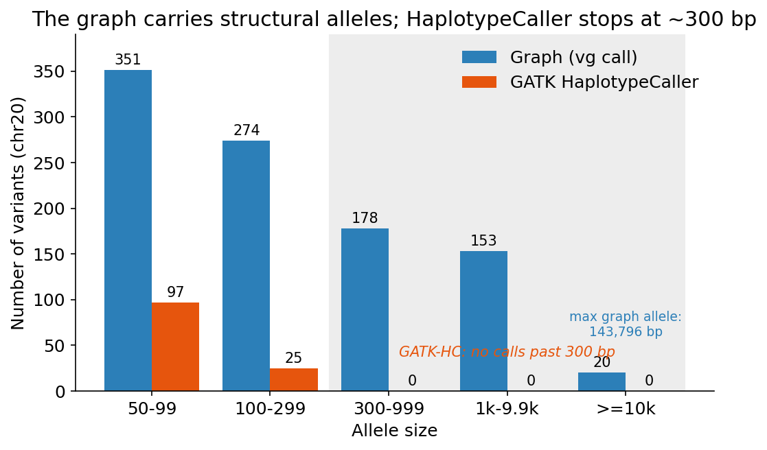 Allele-size distribution of large variants on chr20, graph versus GATK HaplotypeCaller